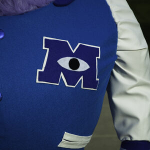 I think I captured details on MU jacket