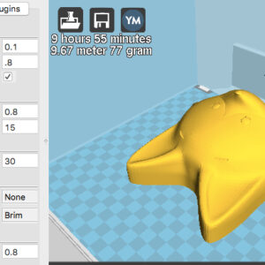 setup for quick prints with 0.8mm nozzle