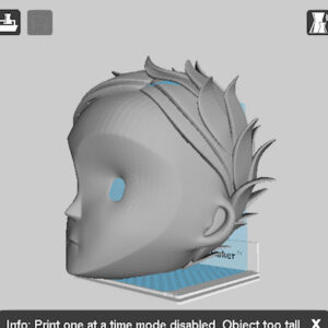 scale check against real object